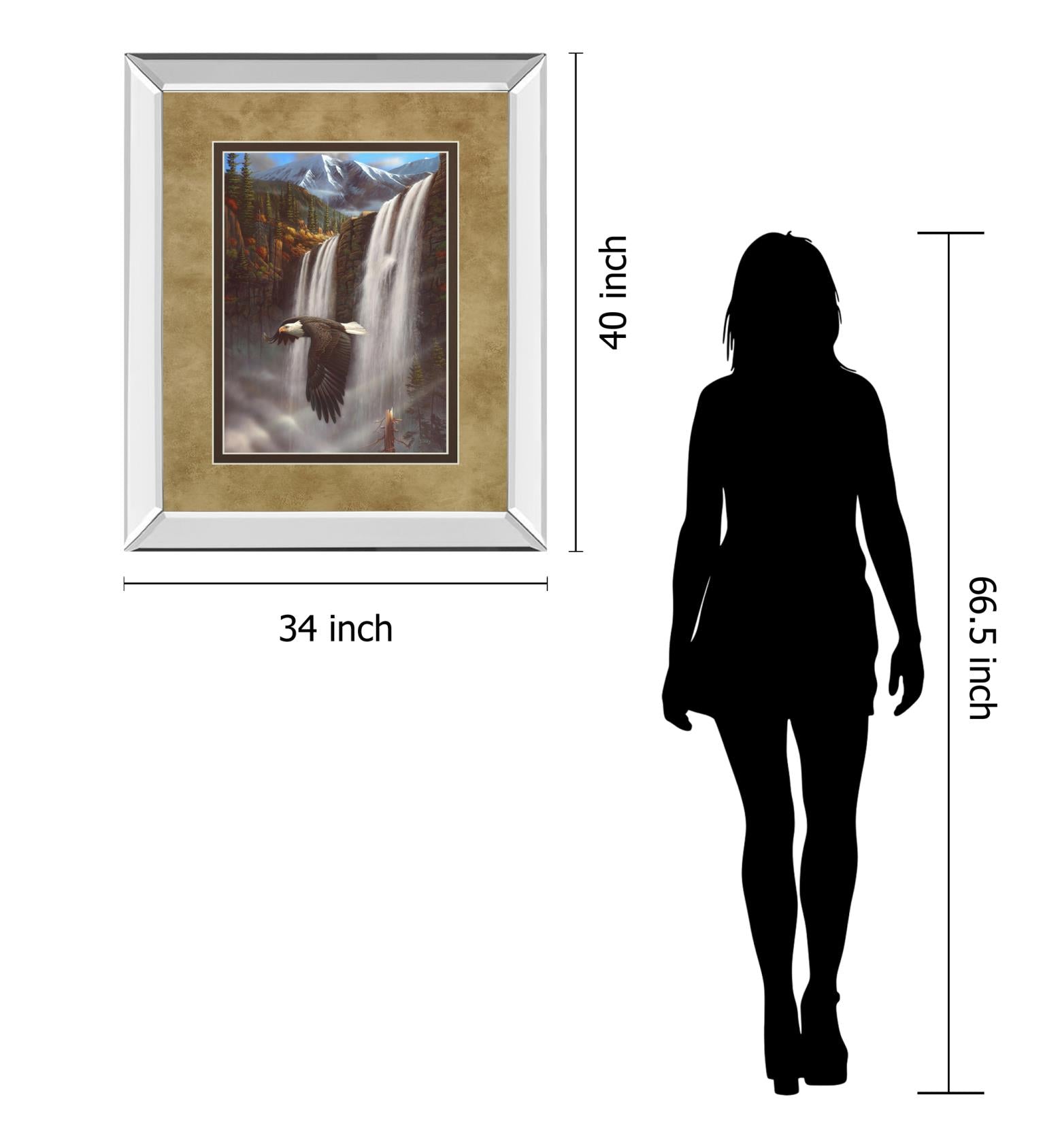 Mirrored Frame Eagle Portrait I By Leo Stans 34X40 Mirror Frame Print