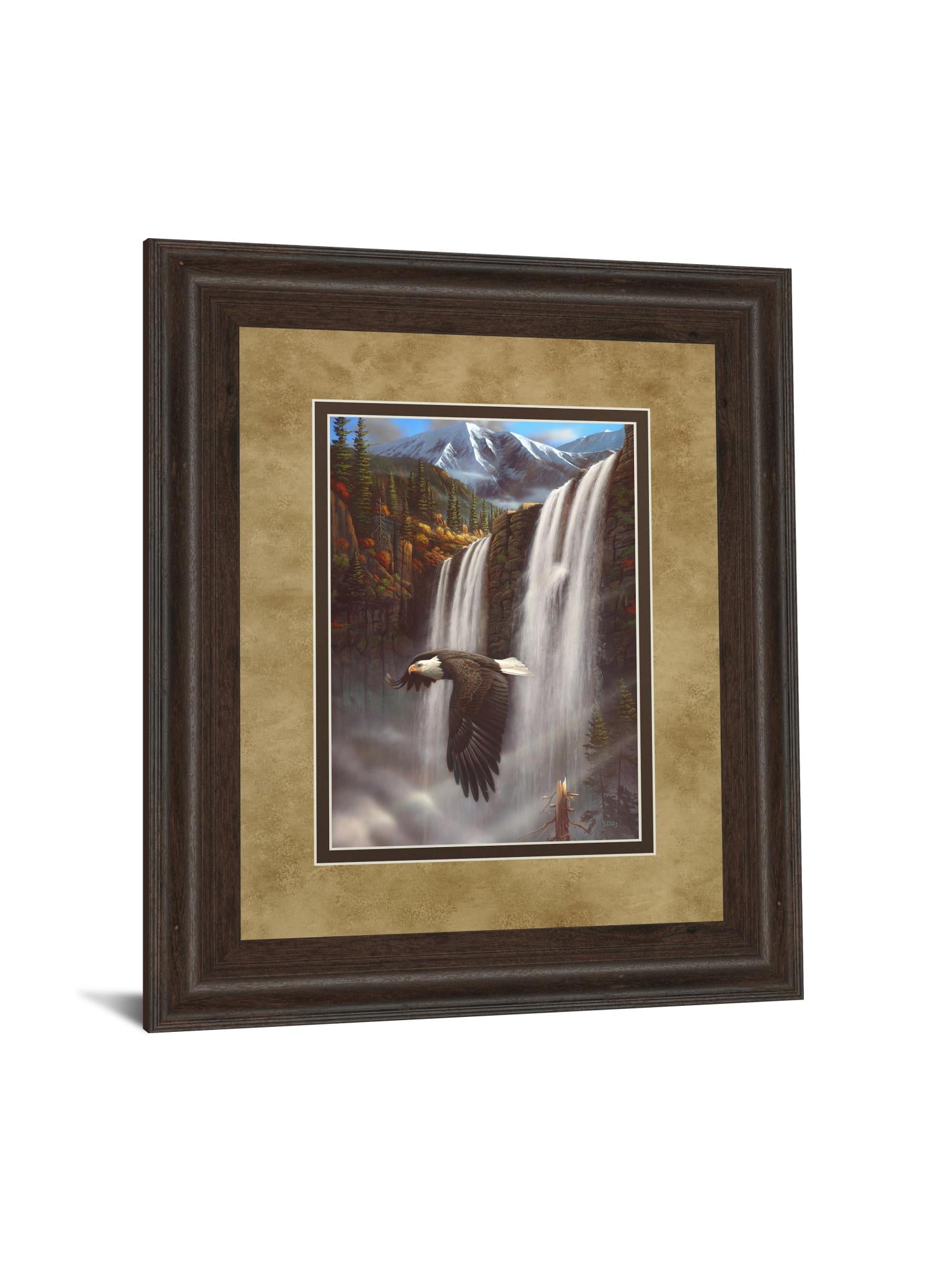 Eagle Portrait I By Leo Stans 34X40 Framed Print