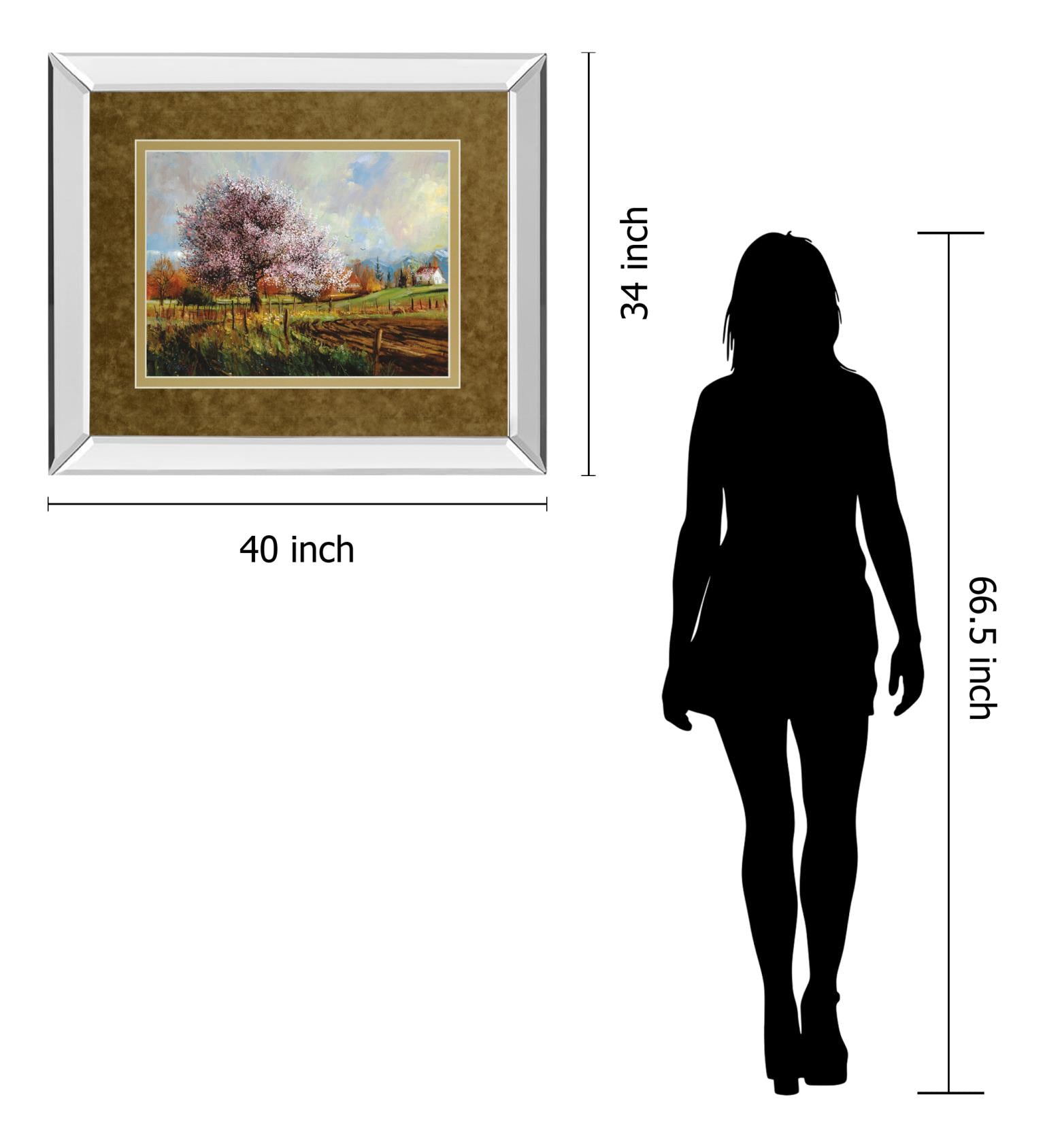 Mirrored Frame Spring Blossoms By Larry Winborg 34X40 Mirror Frame Print