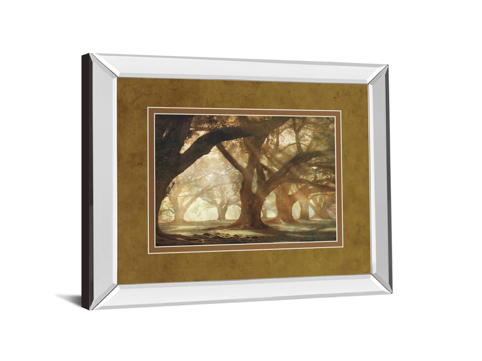 Mirrored Frame Oak Alley Morning Light By William Guion 34X40 Mirror Frame Print