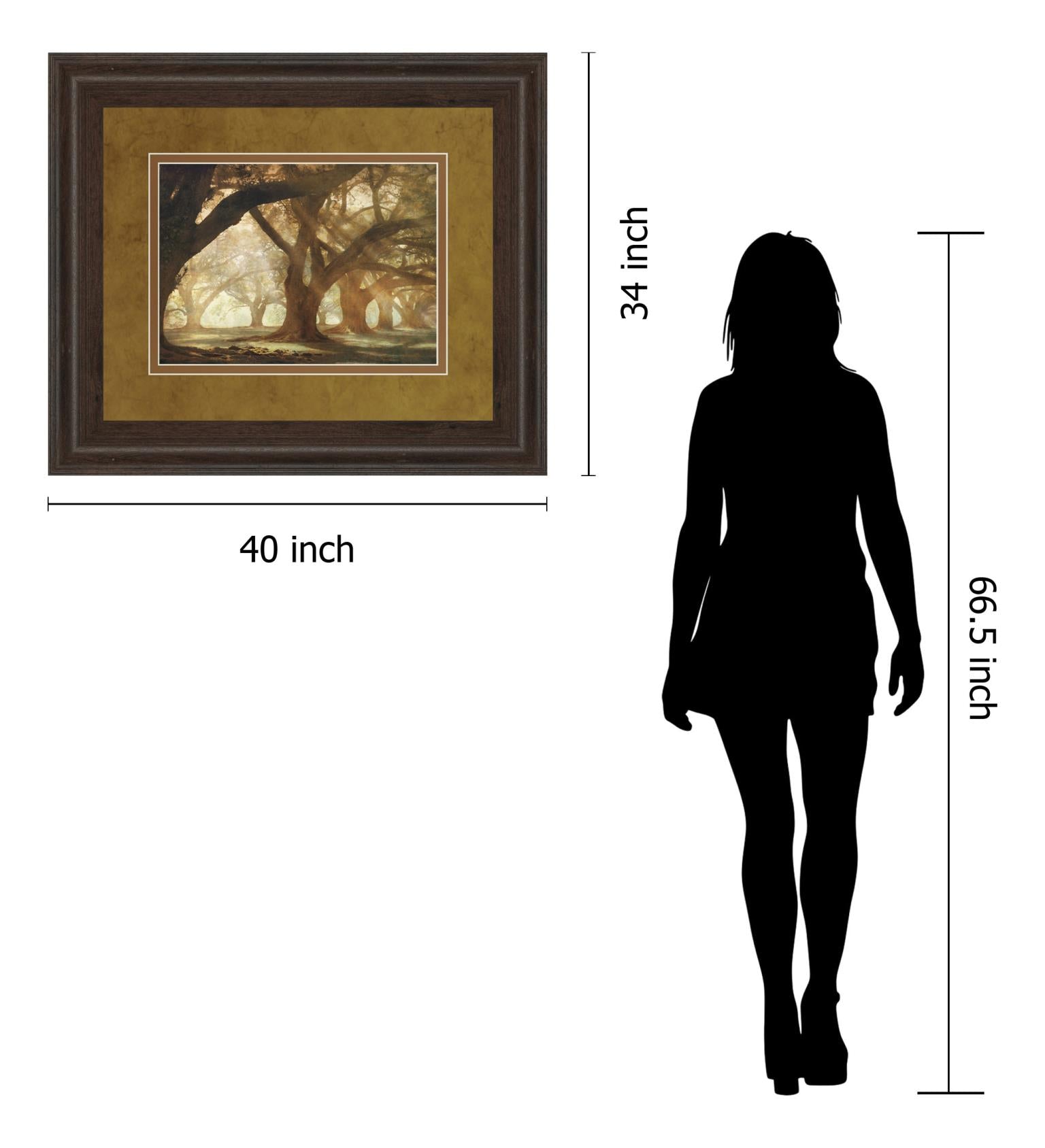 Oak Alley Morning Light By William Guion 34X40 Framed Print