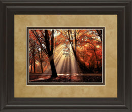 Dressed To Shine By Lars Van De Goor 34X40 Framed Print