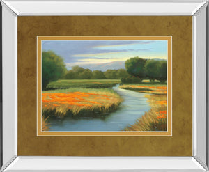 Mirrored Frame California Orange By Julie Peterson 34X40 Mirror Frame Print