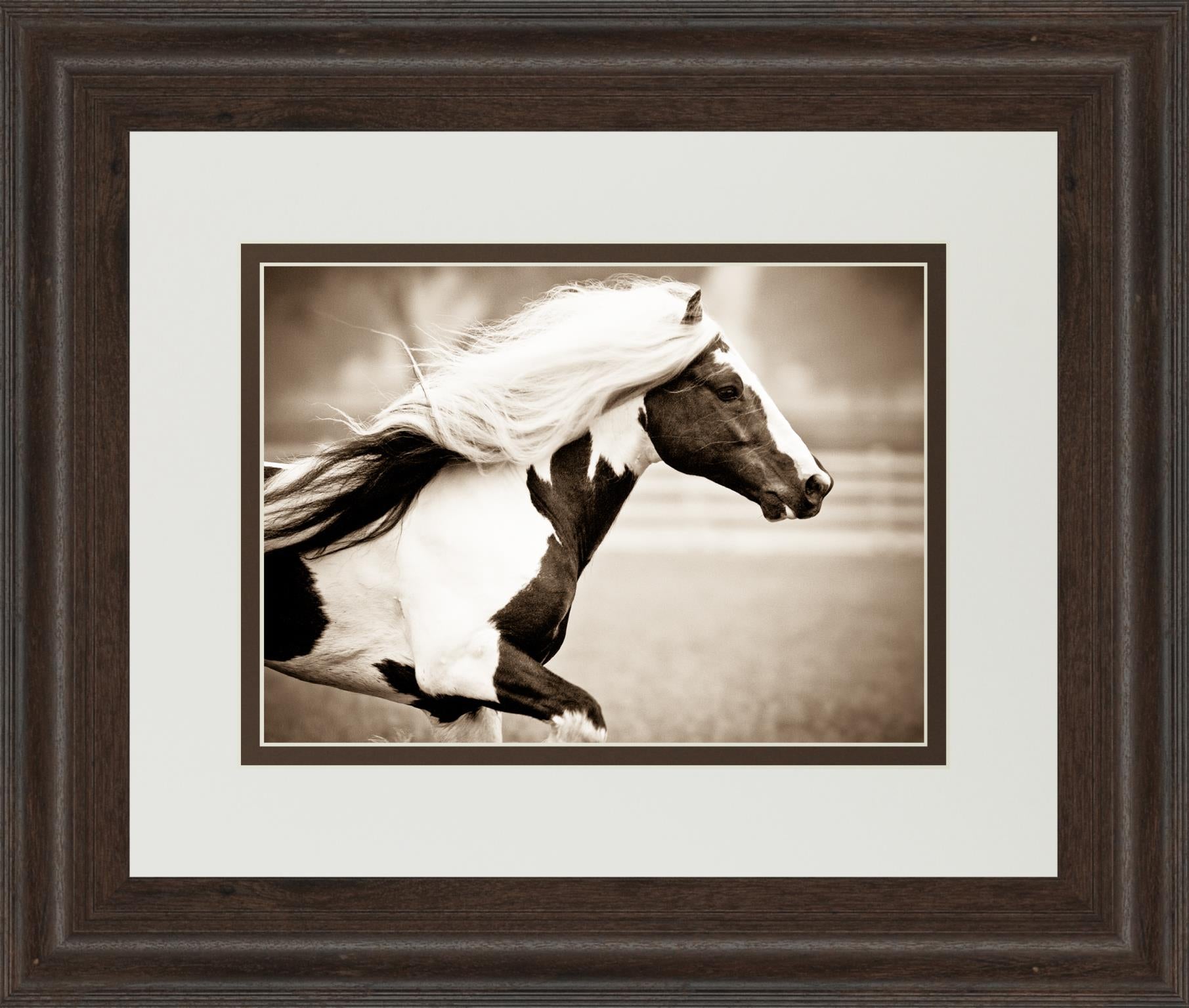 Gypsies Pride By Carol Walker 34X40 Framed Print