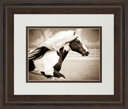 Gypsies Pride By Carol Walker 34X40 Framed Print