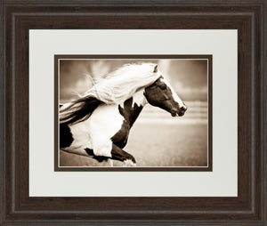 Gypsies Pride By Carol Walker 34X40 Framed Print