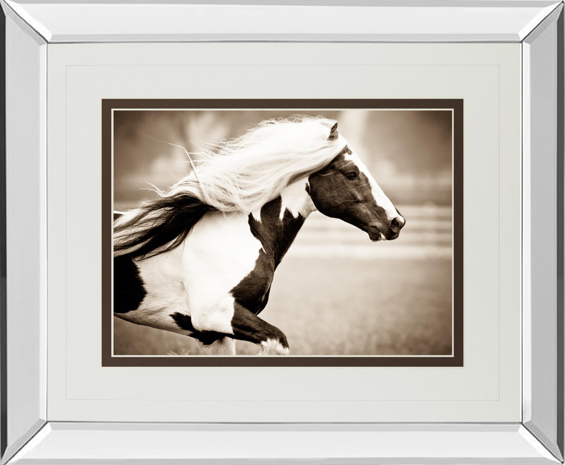 Mirrored Frame Gypsies Pride By Carol Walker 34X40 Mirror Frame Print