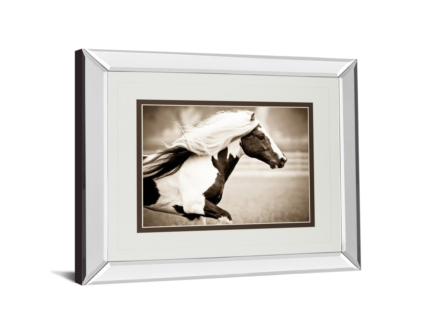 Mirrored Frame Gypsies Pride By Carol Walker 34X40 Mirror Frame Print