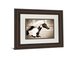 Gypsies Pride By Carol Walker 34X40 Framed Print