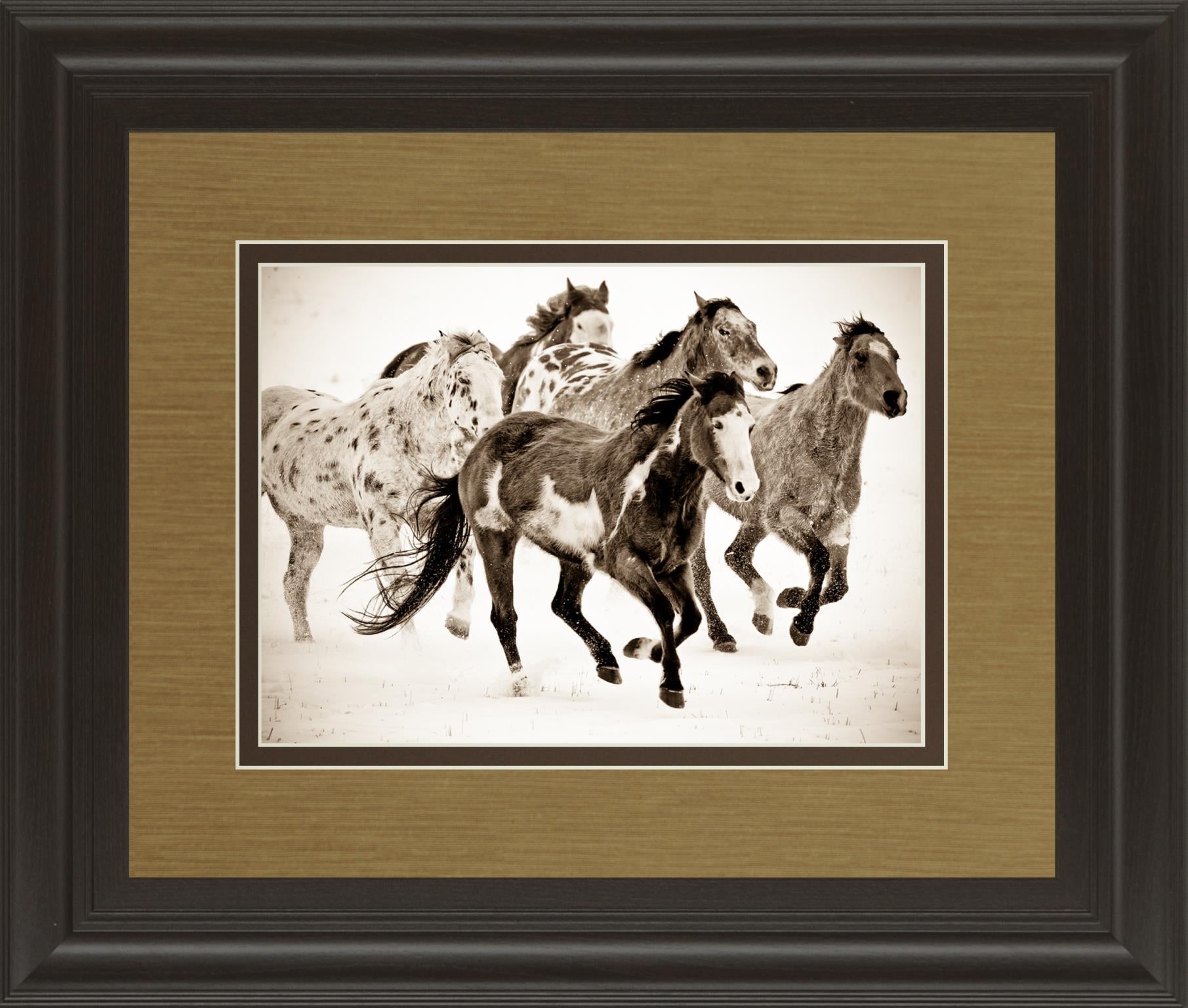 Painted Horses Run By Carol Walker 34X40 Framed Print