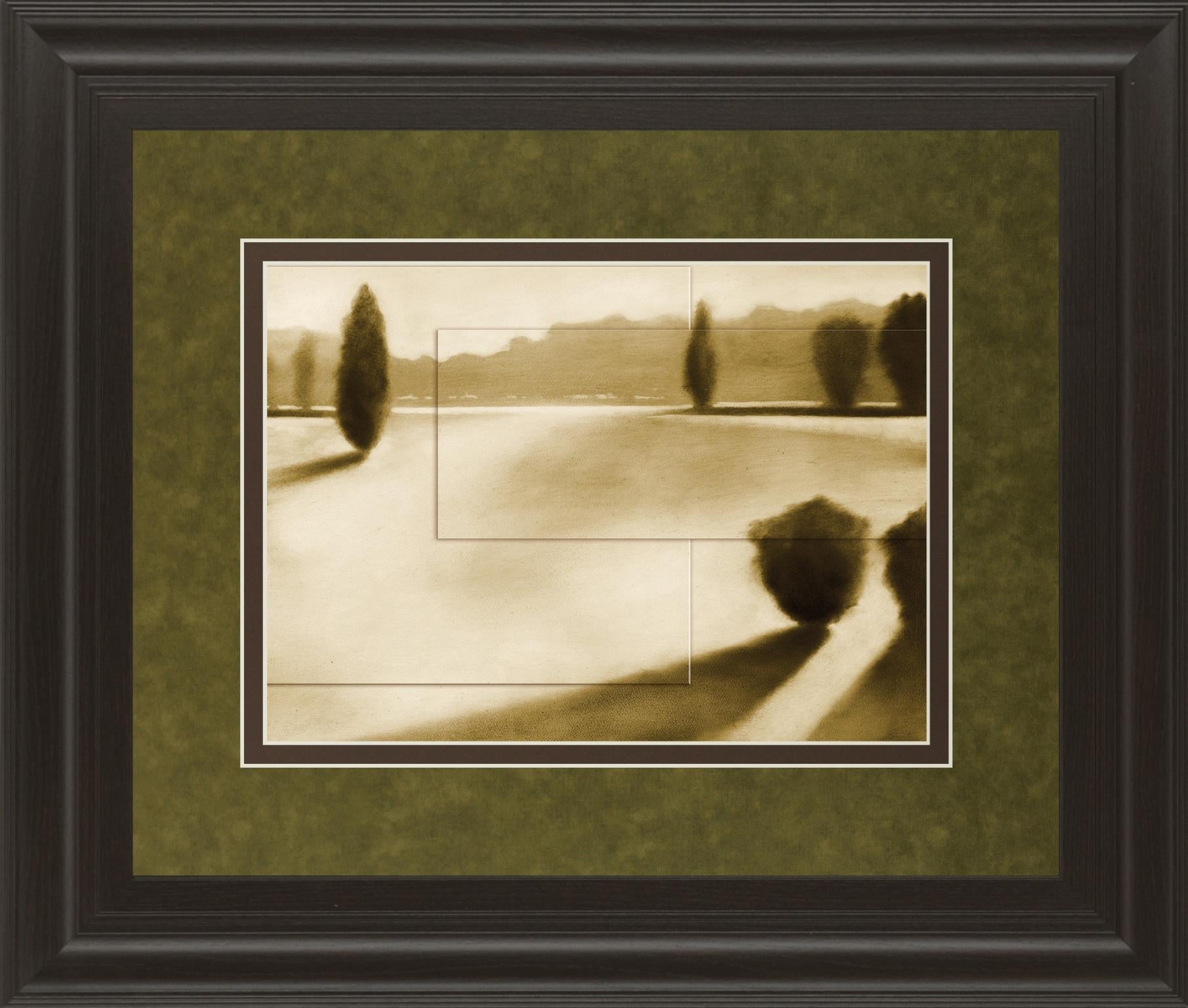 Cyprus Eclipse Ii By Brent Collins 34X40 Framed Print
