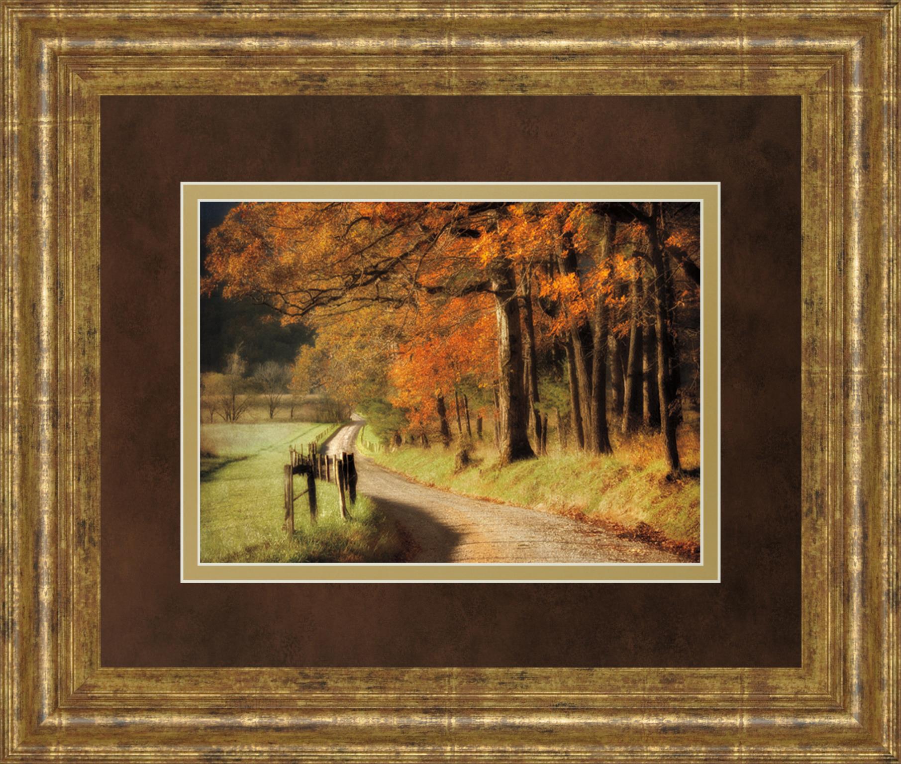 Autumns Morning Light By D. Burt 34X40 Framed Print