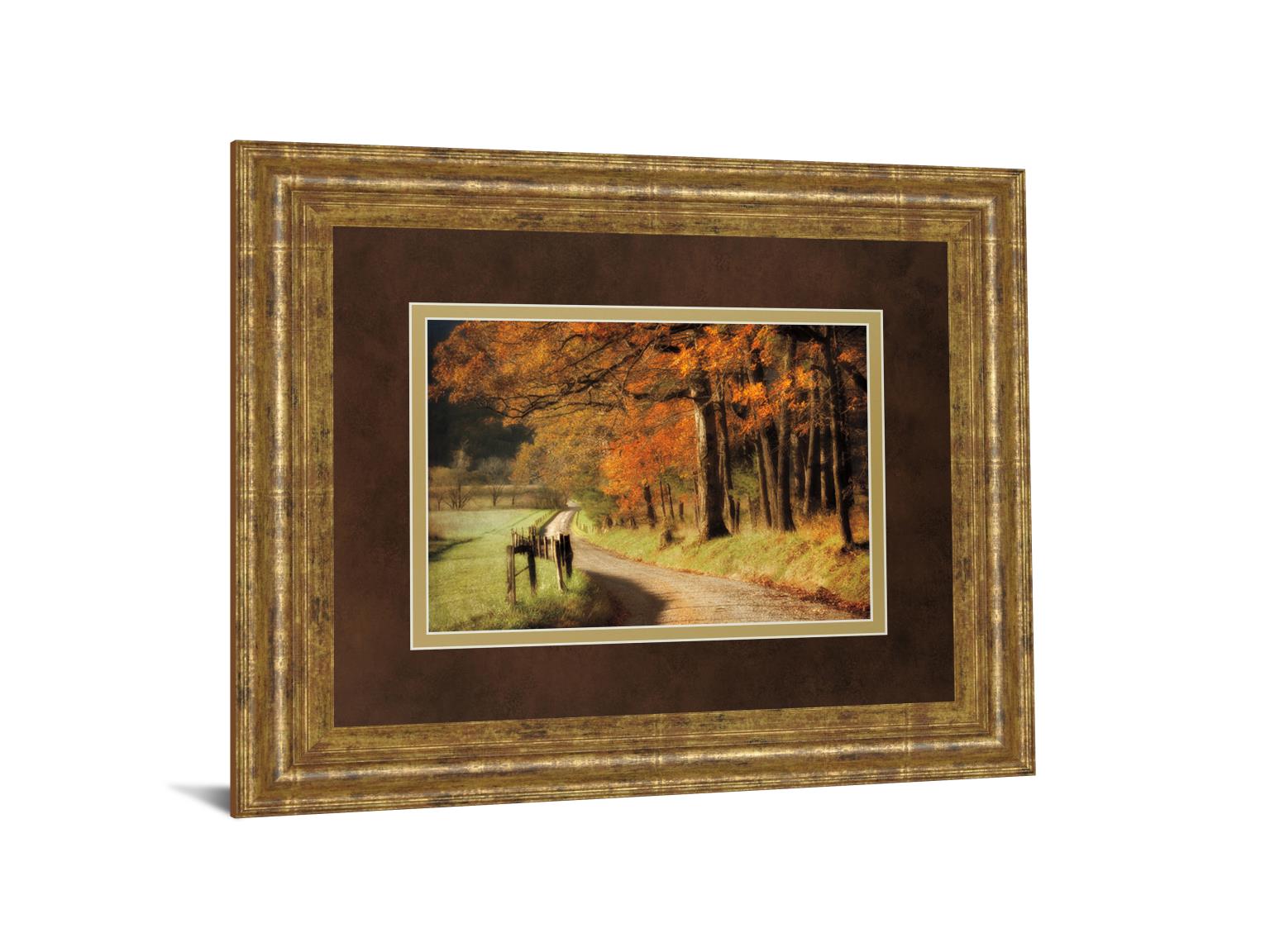 Autumns Morning Light By D. Burt 34X40 Framed Print
