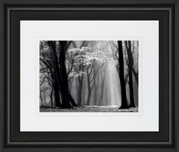 Winter Is Coming By Lars Van De Goor 34X40 Framed Print