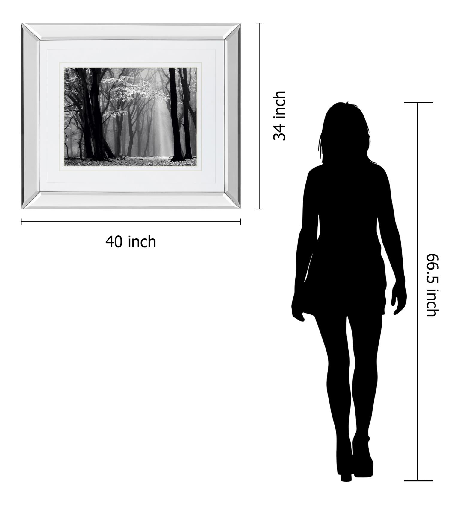 Mirrored Frame Winter Is Coming By Lars Van De Goor 34X40 Mirror Frame Print