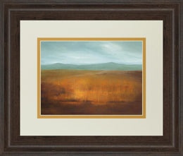 Last Light By Caroline Gold 34X40 Framed Print
