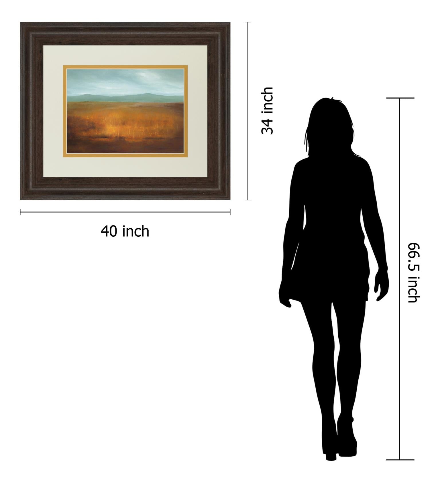 Last Light By Caroline Gold 34X40 Framed Print