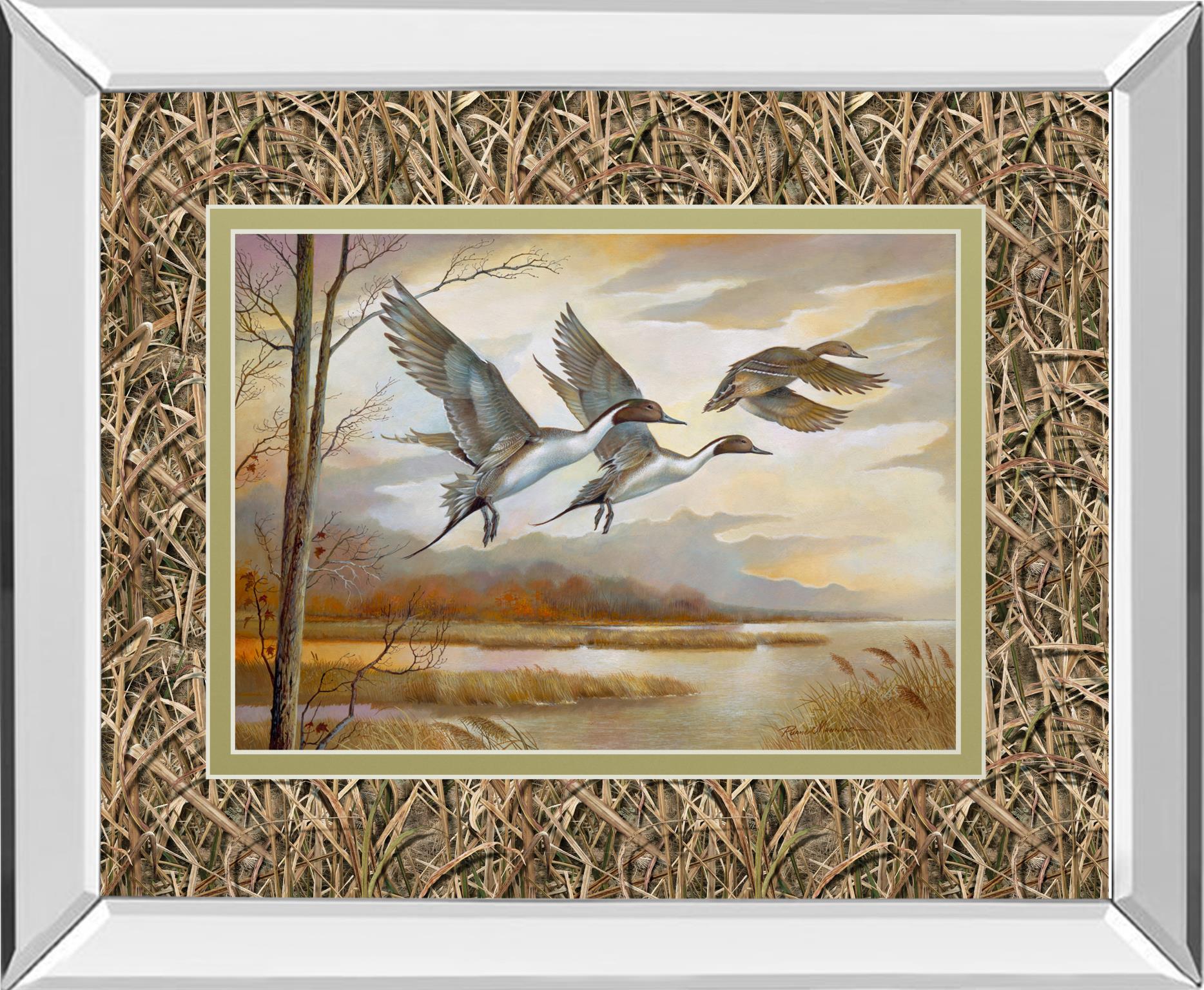 Mirrored Frame Pintails By Ruanne Manning ***Monl*** 34X40 Mirror Frame Print