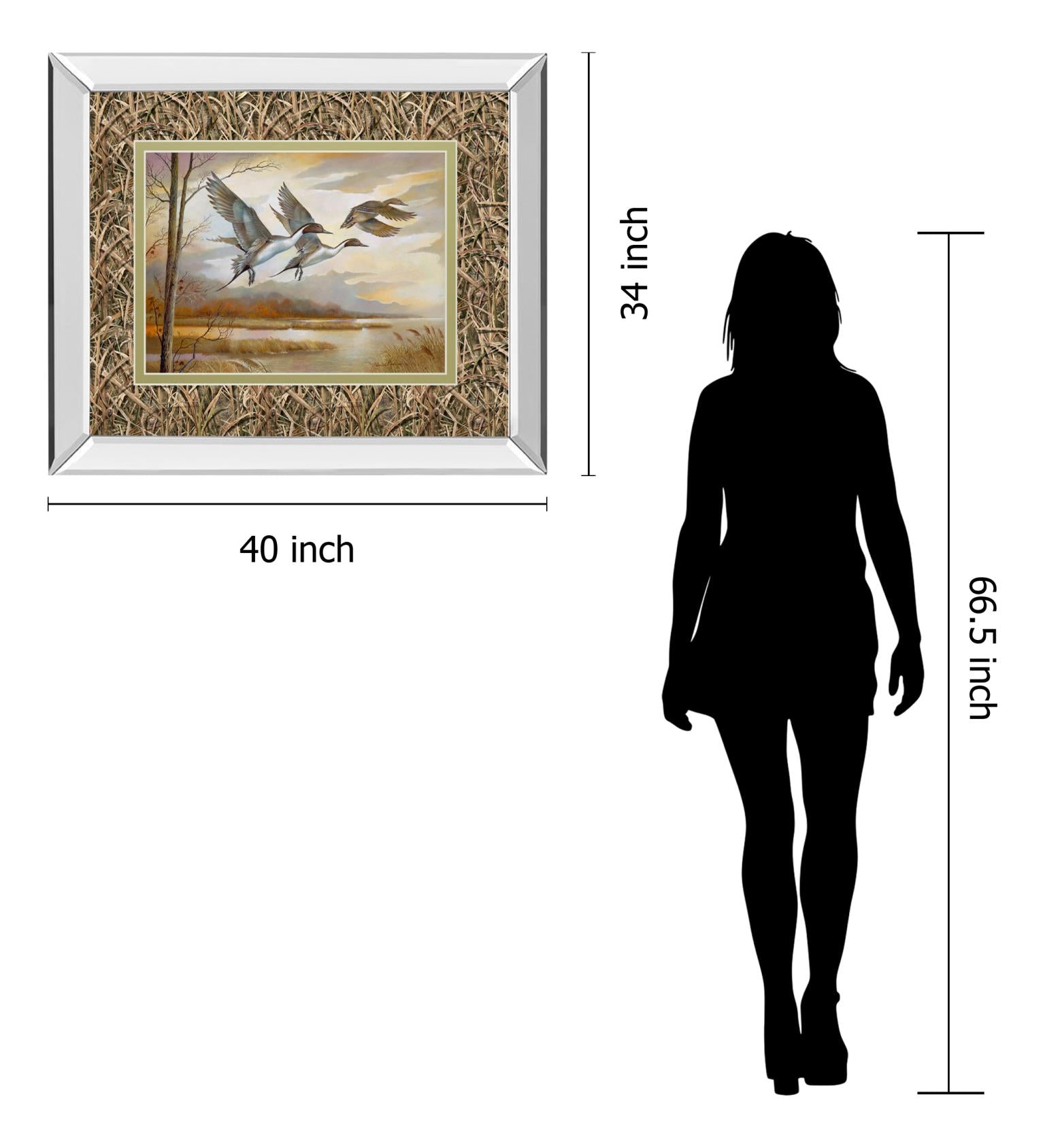 Mirrored Frame Pintails By Ruanne Manning ***Monl*** 34X40 Mirror Frame Print