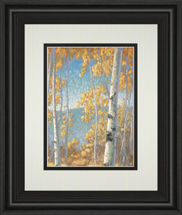 Honey Birch Ii By John Macnab 34X40 Framed Print