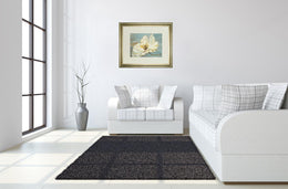 White Peony By Patricia Pinto 34X40 Framed Print
