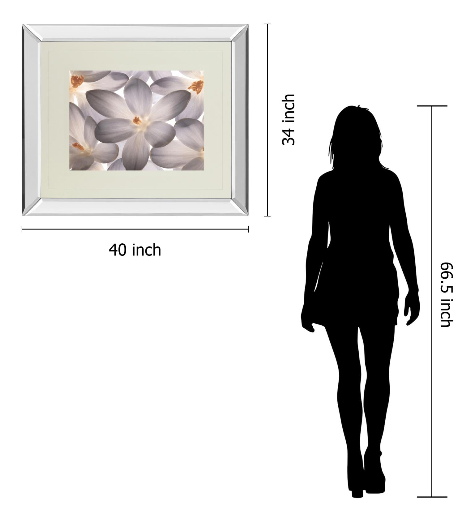 Mirrored Frame Petal Perfect By Assaf Frank 34X40 Mirror Frame Print