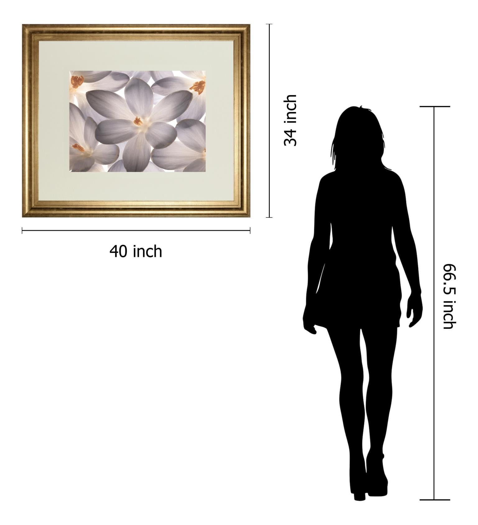 Petal Perfect By Assaf Frank 34X40 Framed Print