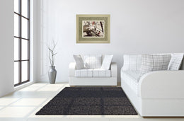 Cool Cats By Gail Peck 34X40 Framed Print