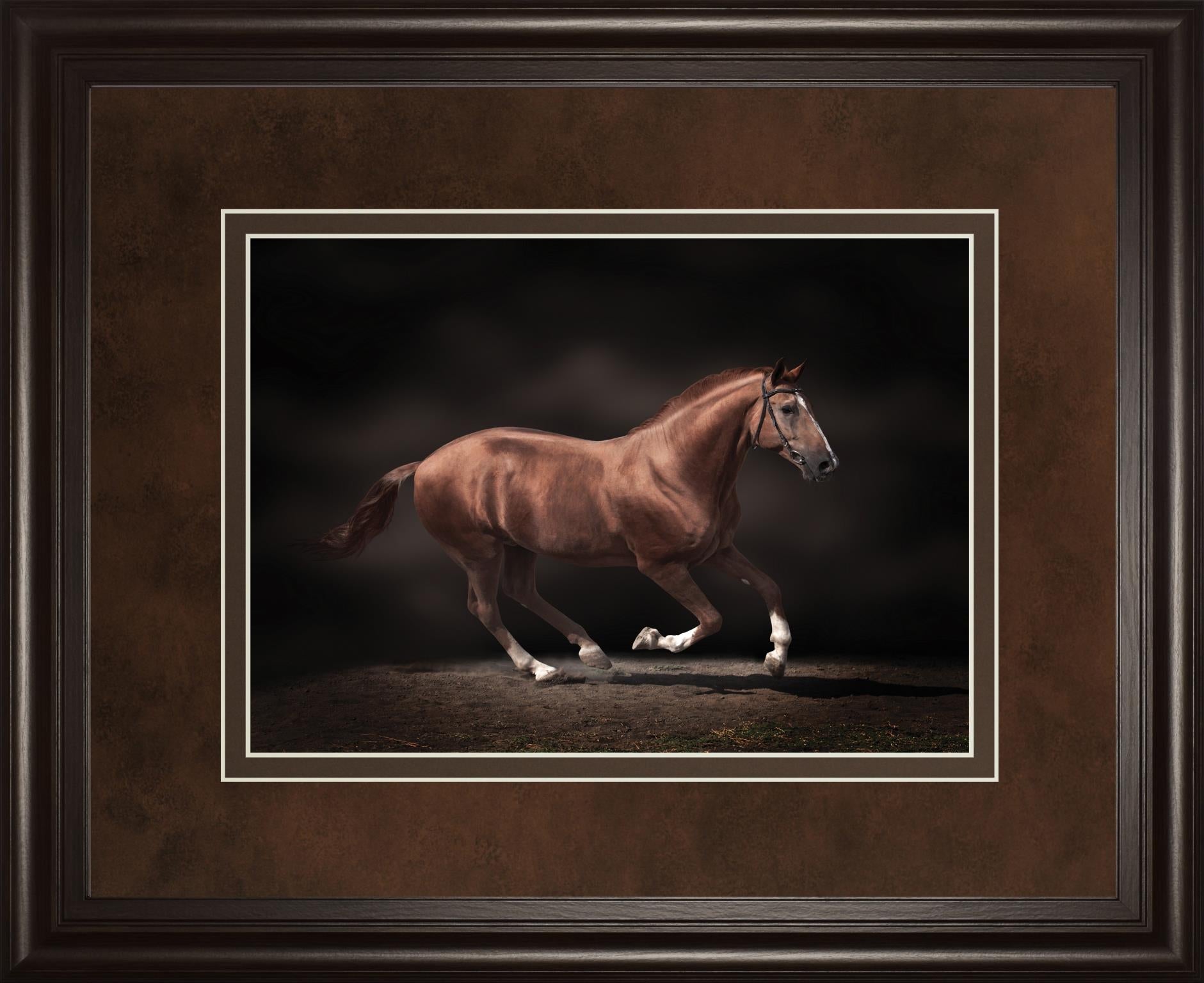 Stallion On Black By Edoma 34X40 Framed Print