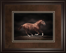 Stallion On Black By Edoma 34X40 Framed Print