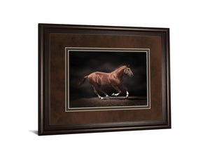 Stallion On Black By Edoma 34X40 Framed Print