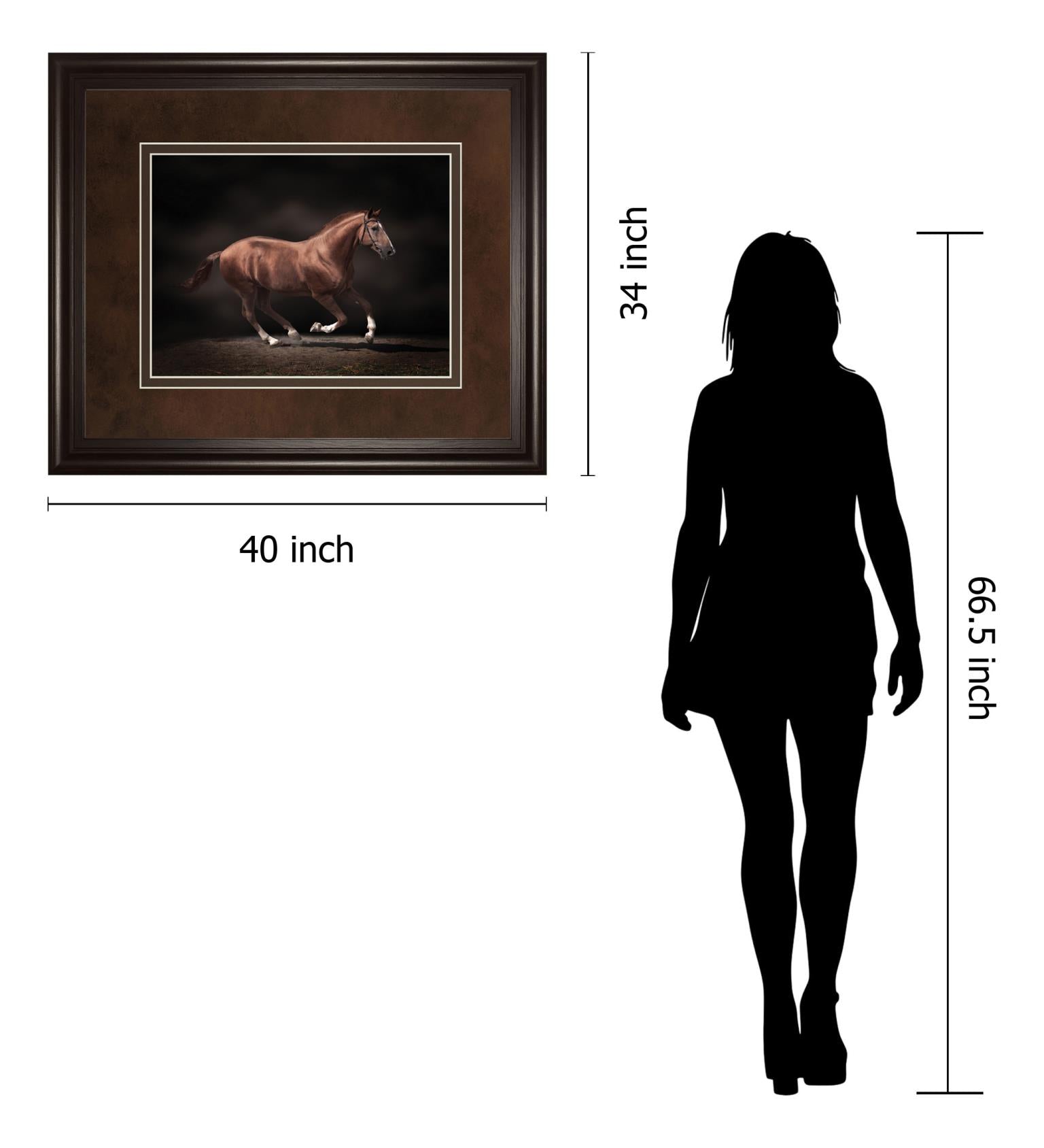 Stallion On Black By Edoma 34X40 Framed Print