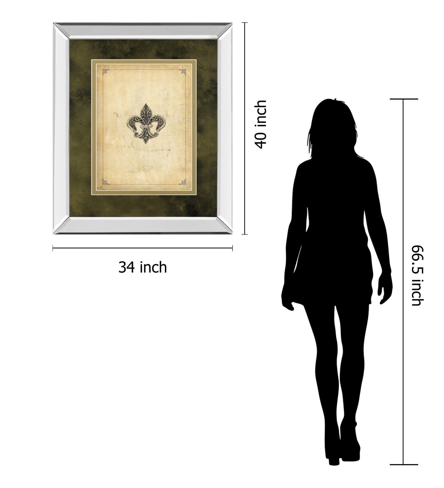 Mirrored Frame Fleur Di Lies I By Alexey Paviuts 34X40 Mirror Frame Print