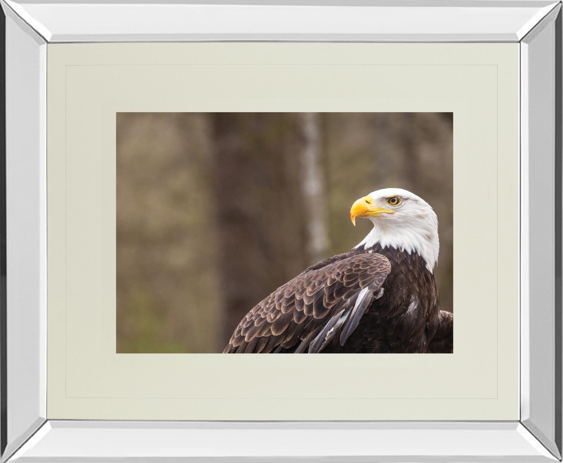 Mirrored Frame Majestic Eagle By Garytog 34X40 Mirror Frame Print