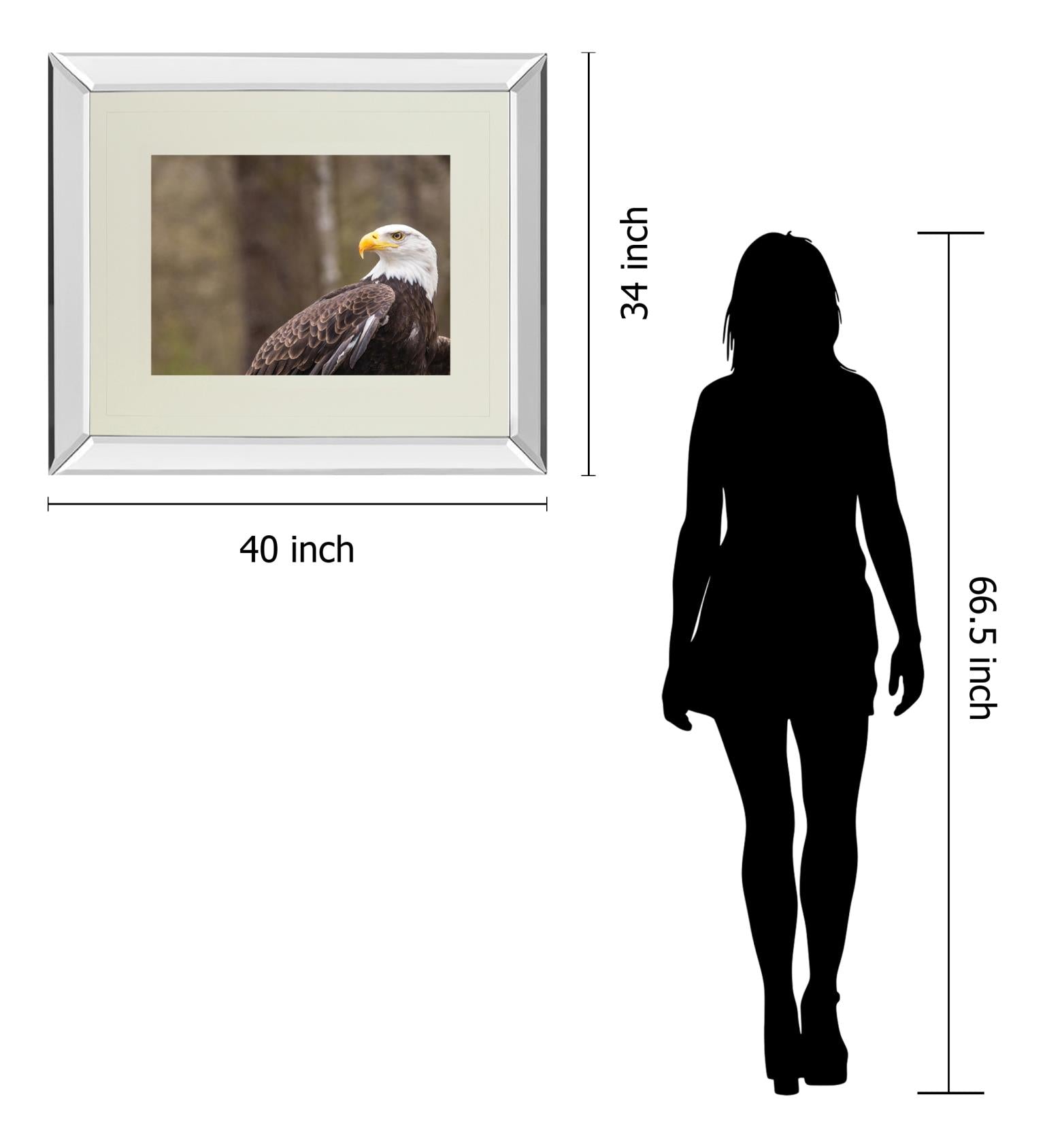 Mirrored Frame Majestic Eagle By Garytog 34X40 Mirror Frame Print