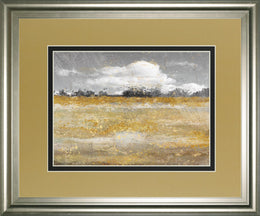 Meadow Shimmer Ii By Nan 34X40 Framed Print