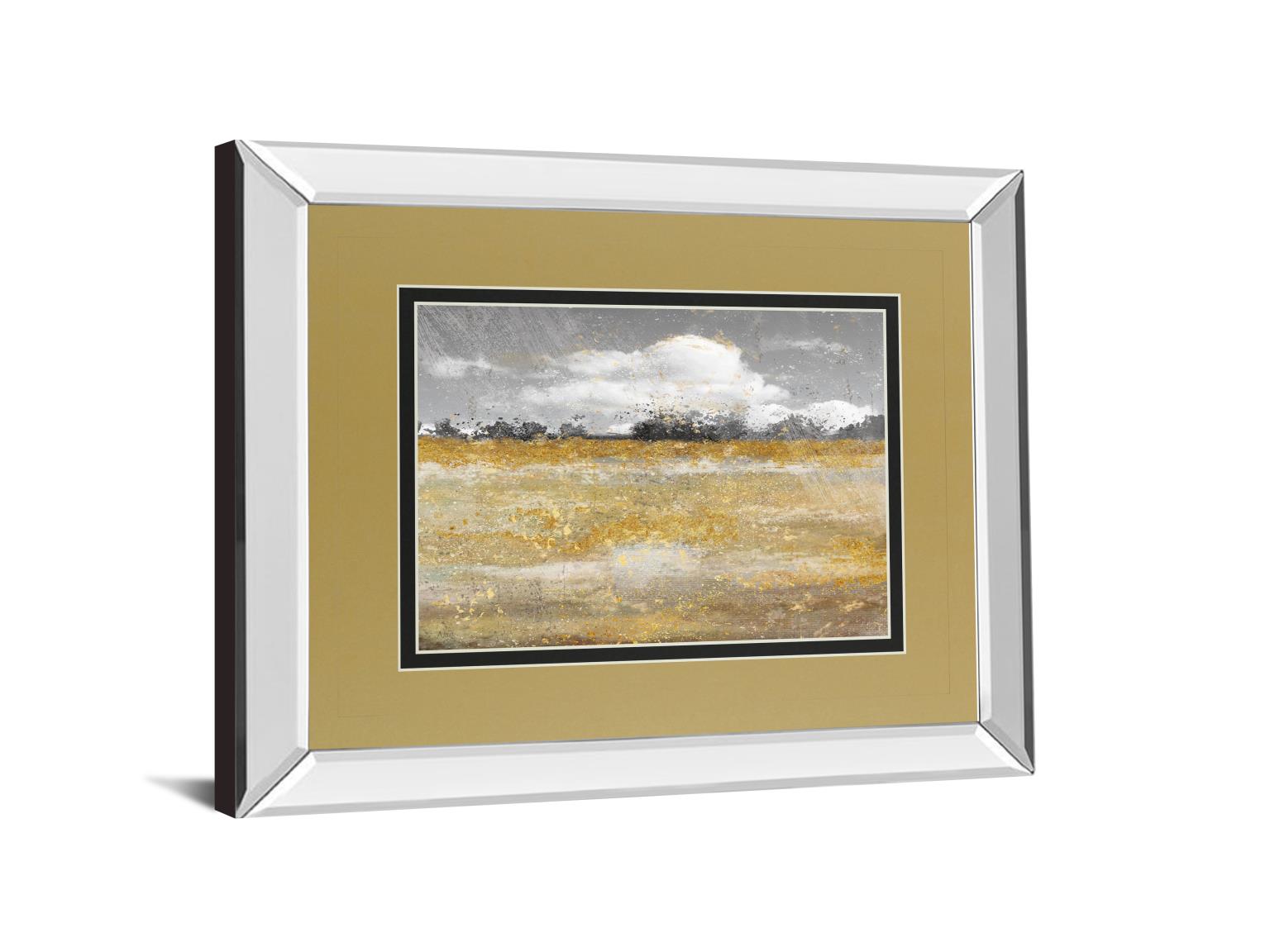 Mirrored Frame Meadow Shimmer Ii By Nan 34X40 Mirror Frame Print