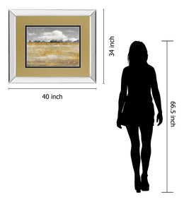 Mirrored Frame Meadow Shimmer Ii By Nan 34X40 Mirror Frame Print