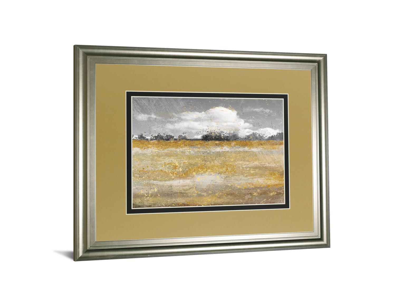 Meadow Shimmer Ii By Nan 34X40 Framed Print