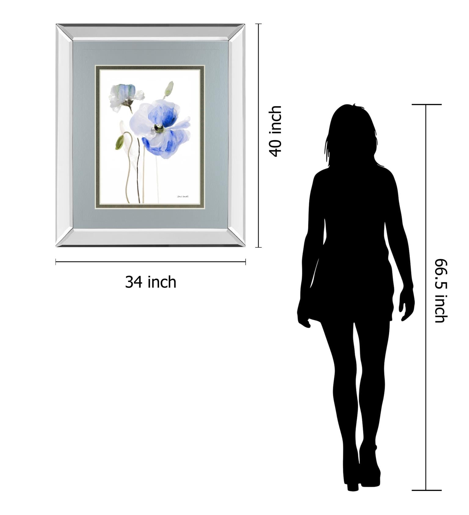 Mirrored Frame All Poppies I  By Lanie Loreth 34X40 Mirror Frame Print