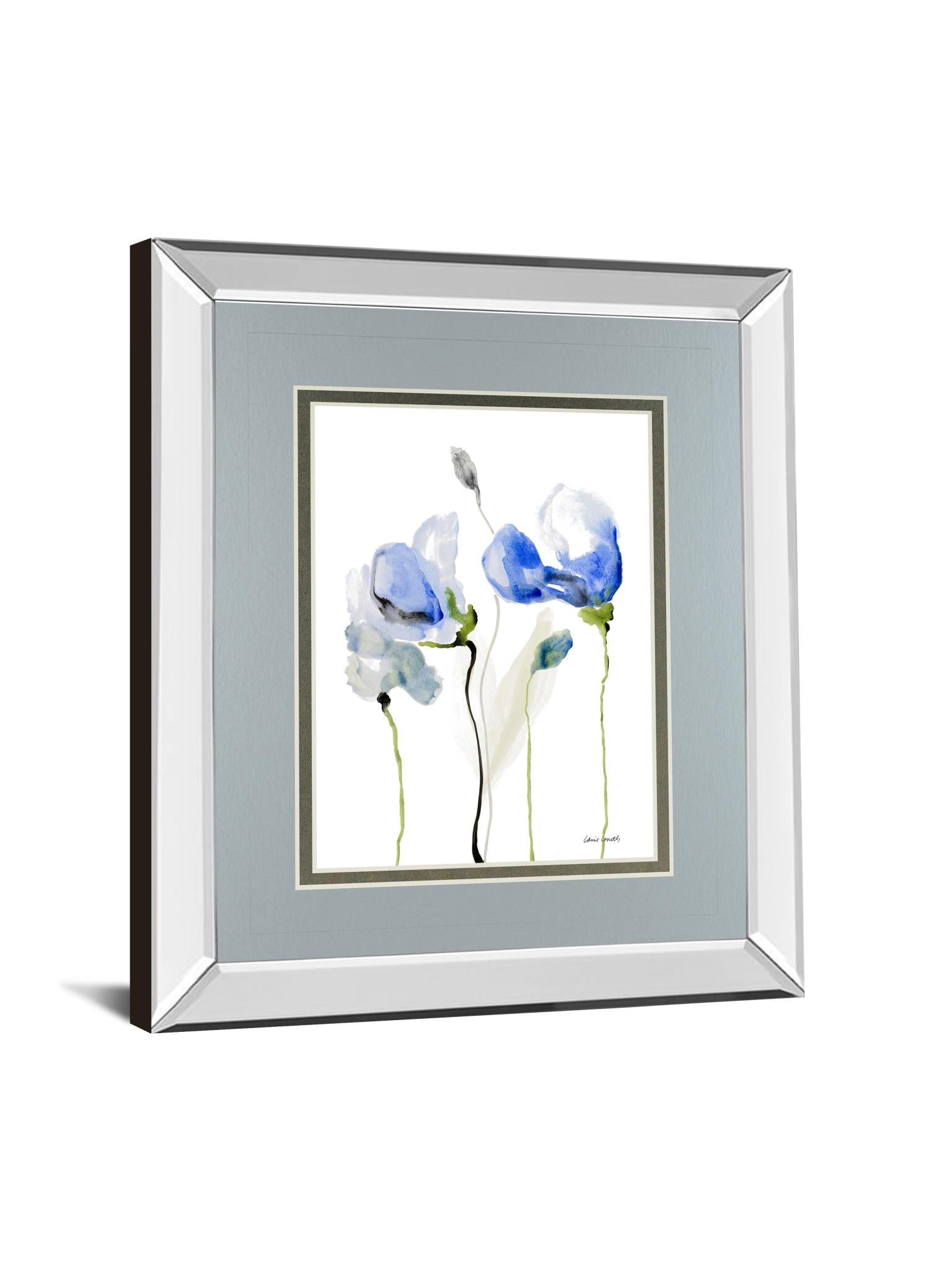 Mirrored Frame All Poppies Ii By Lanie Loreth 34X40 Mirror Frame Print