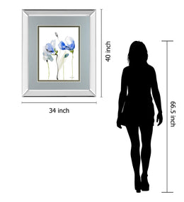Mirrored Frame All Poppies Ii By Lanie Loreth 34X40 Mirror Frame Print