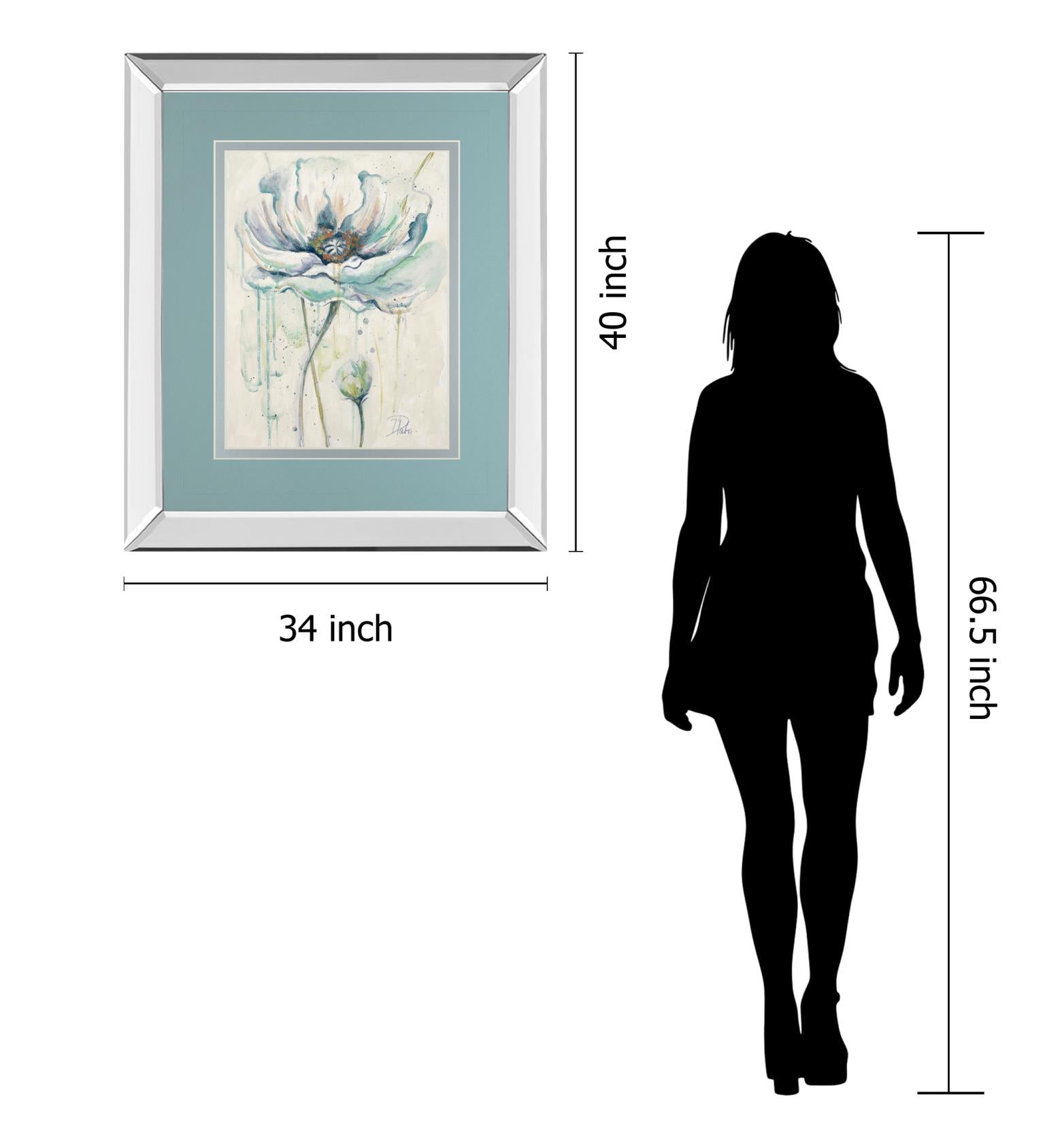 Mirrored Frame Fresh Poppies Ii By Patricia Pinto 34X40 Mirror Frame Print