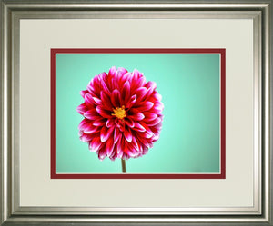Zenia By Gail Peck 34X40 Framed Print