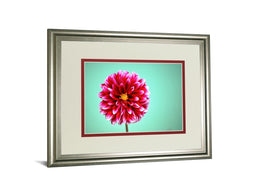 Zenia By Gail Peck 34X40 Framed Print