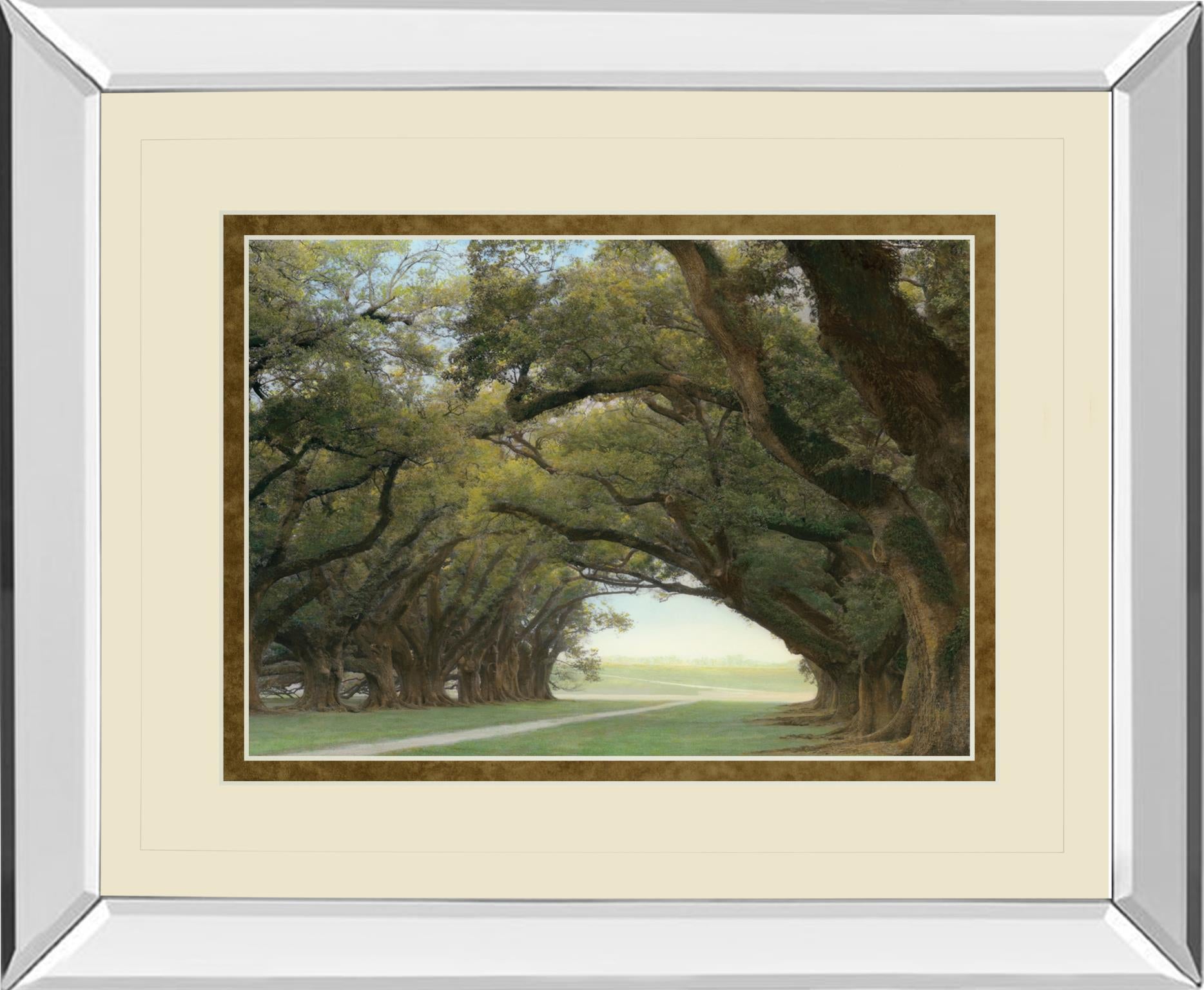 Mirrored Frame Alley Of The Oaks By William Guion  ***Monl*** 34X40 Mirror Frame Print