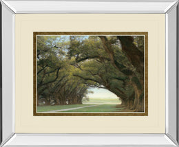 Mirrored Frame Alley Of The Oaks By William Guion  ***Monl*** 34X40 Mirror Frame Print