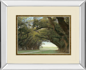 Mirrored Frame Alley Of The Oaks By William Guion  ***Monl*** 34X40 Mirror Frame Print