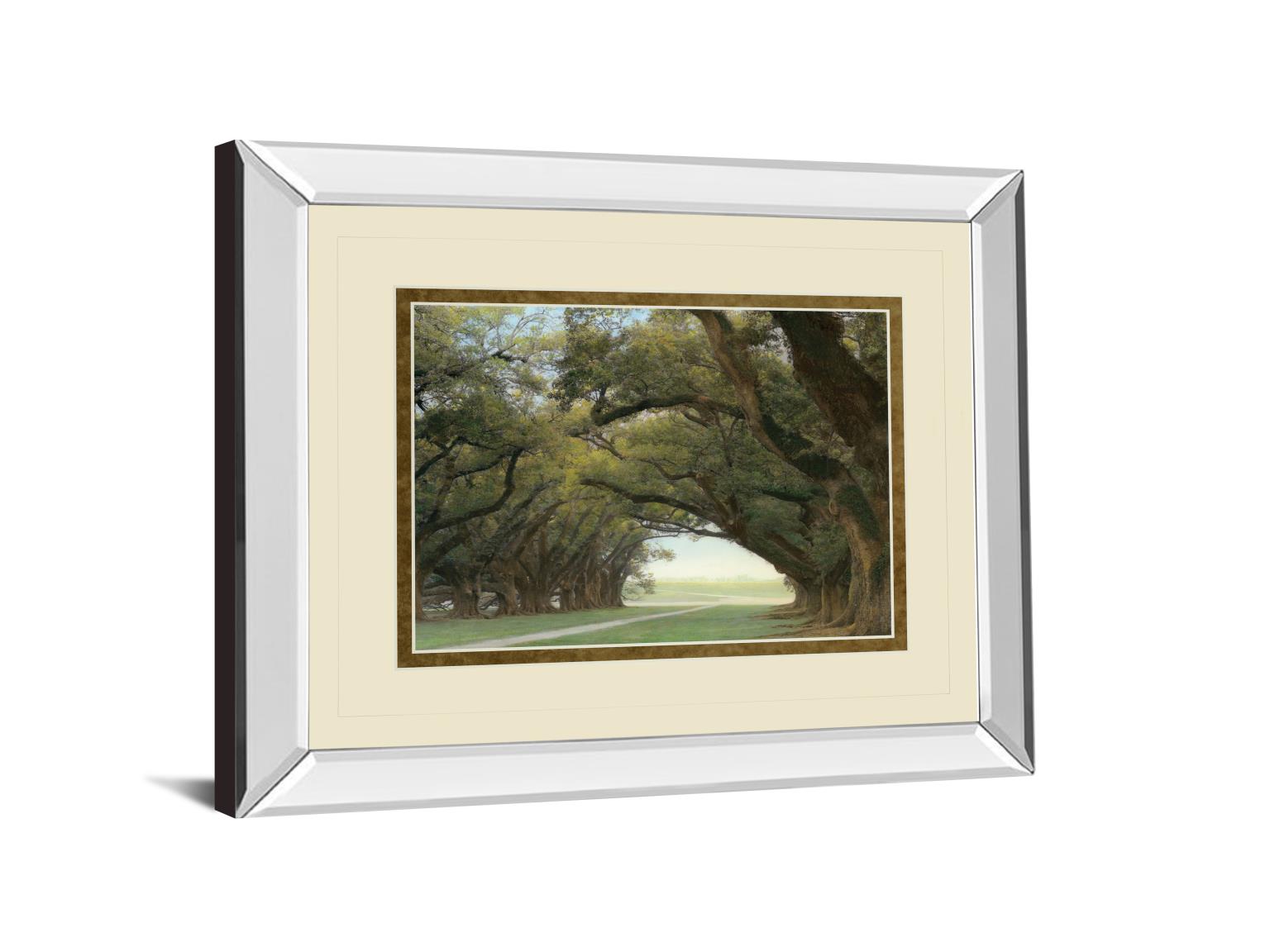 Mirrored Frame Alley Of The Oaks By William Guion  ***Monl*** 34X40 Mirror Frame Print