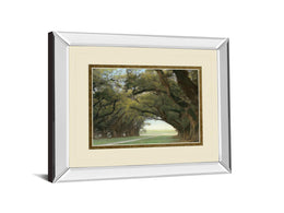 Mirrored Frame Alley Of The Oaks By William Guion  ***Monl*** 34X40 Mirror Frame Print